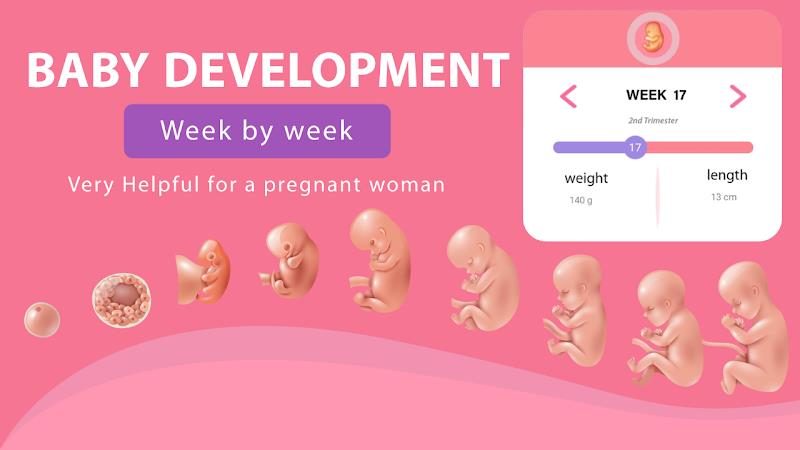Pregnancy Weeks Tracker Captura de tela 1