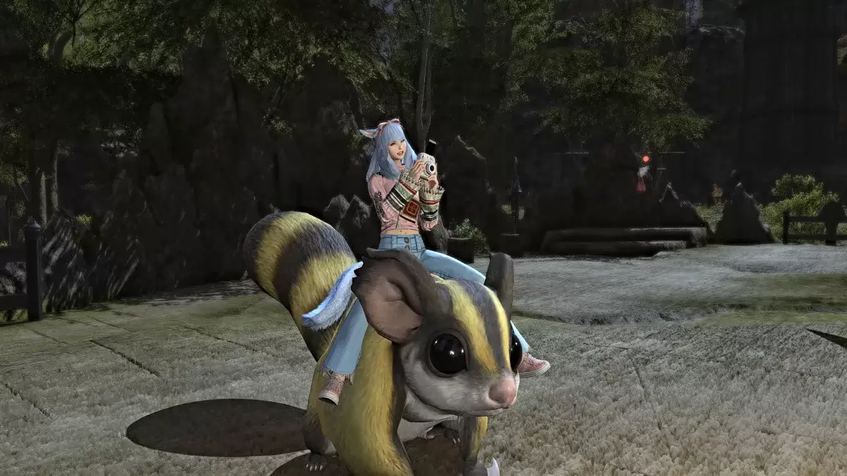 Photograph emote on a mount in FFXIV